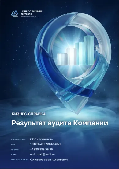 Результат аудита компании ООО  «Ромашка». Шаблон